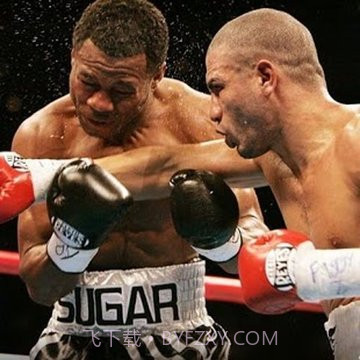 拳击WWE游戏截图3 拳击WWE游戏截图3