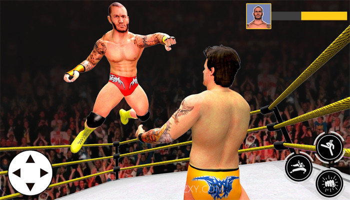 健身房格斗竞技场截图1