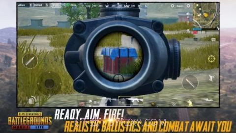 PUBG MOBILE国际版截图1