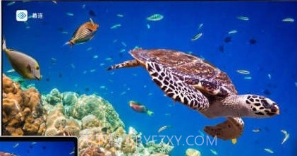 幕连TV版截图3 幕连TV版截图3