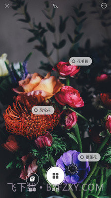 小米智能识物截图3