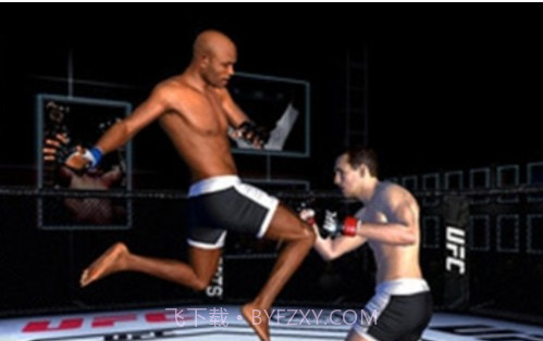 UFC终极格斗冠军2截图3