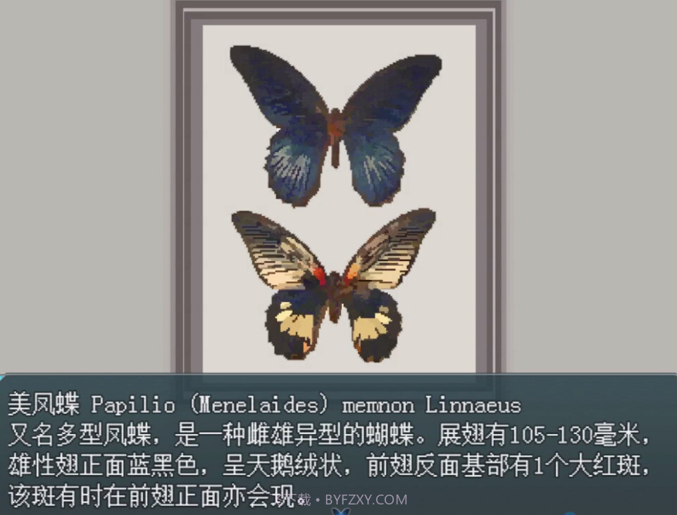 白夜博物馆先行服截图5