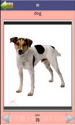 看图识字动物篇截图2 看图识字动物篇截图2