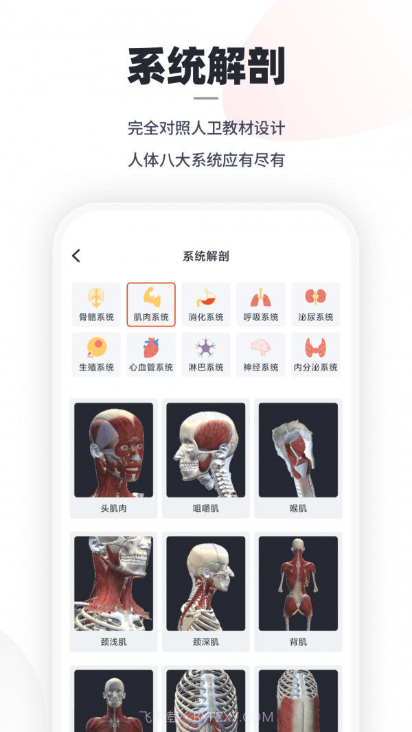 口袋人体解剖截图2