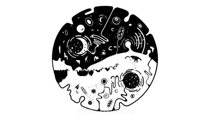 OVIVO截图5 OVIVO截图5