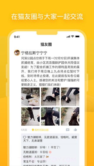 哈啰街猫手机版截图3 哈啰街猫手机版截图3