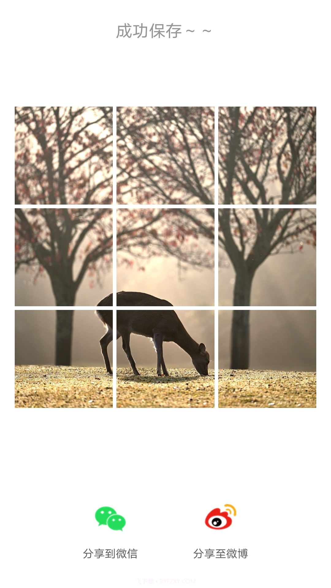 九宫格图片截图2