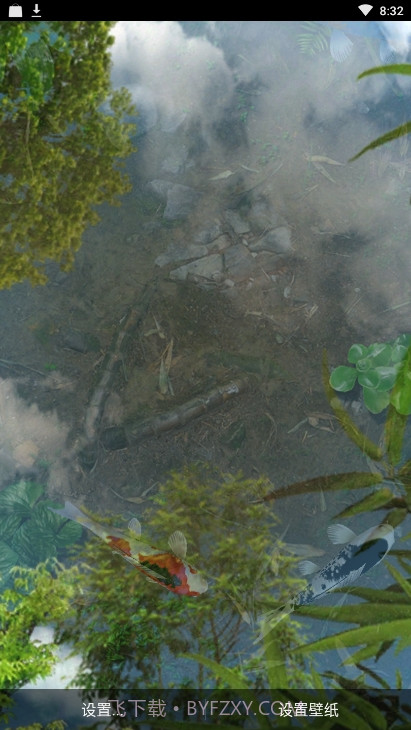 锦鲤鱼池3D动态壁纸(鱼池)截图3 锦鲤鱼池3D动态壁纸(鱼池)截图3