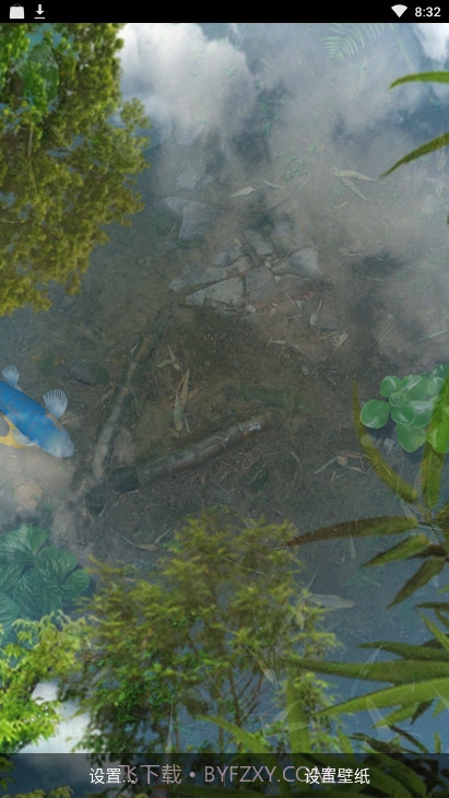 锦鲤鱼池3D动态壁纸(鱼池)截图4 锦鲤鱼池3D动态壁纸(鱼池)截图4