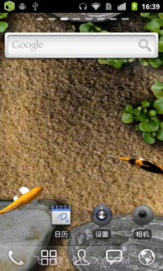 锦鲤动态壁纸截图2