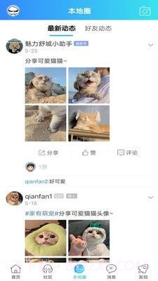 魅力舒城网截图3