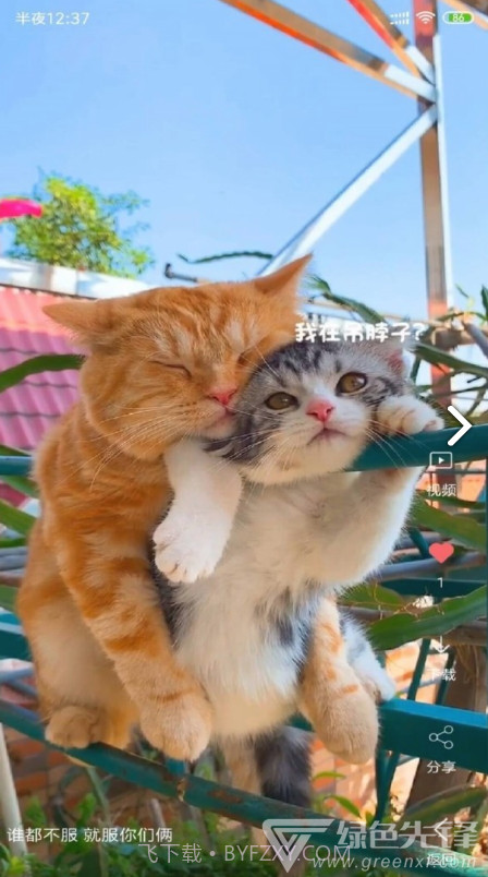 VideoWallpaper(videowallpaper小米)V3.2.3 安卓中文版截图5