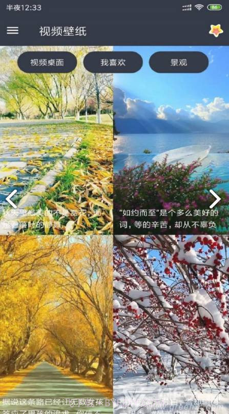 VideoWallpaper(videowallpaper小米)V3.2.3 安卓中文版截图3