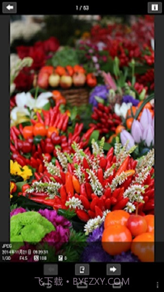 CameraConnect截图1