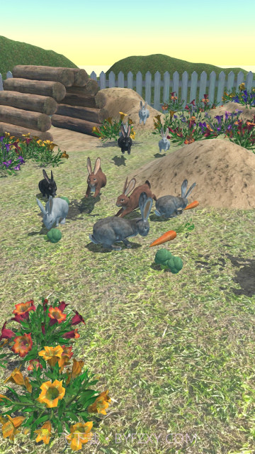 兔子朋友截图2 兔子朋友截图2