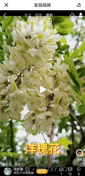 趣豆壳短视频截图4