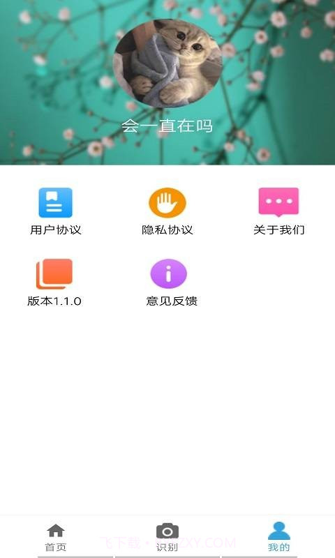品植截图3