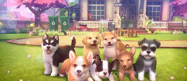 元气小狗app截图1