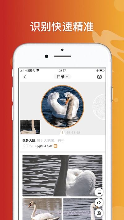 形色识鸟截图2 形色识鸟截图2