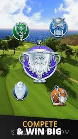 终极高尔夫截图2 终极高尔夫截图2