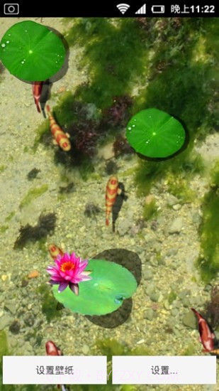 3D养金鱼动态壁纸截图3