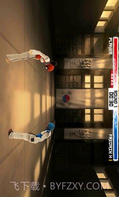 跆拳道大奖赛国际版截图1 跆拳道大奖赛国际版截图1