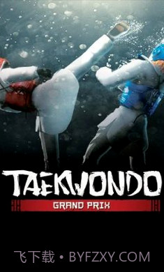 跆拳道大奖赛单机版截图2
