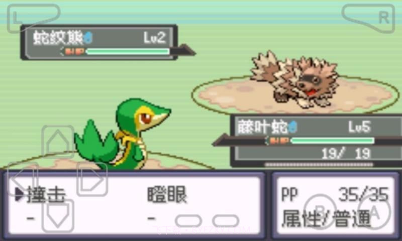 口袋妖怪漆黑的魅影截图2 口袋妖怪漆黑的魅影截图2