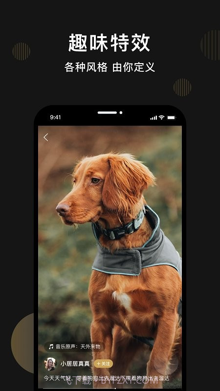 皮可宠物截图2 皮可宠物截图2