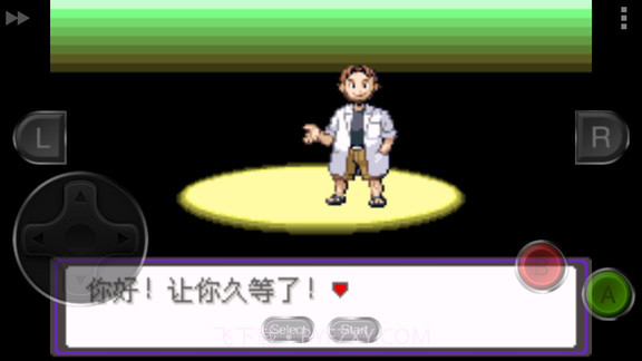 口袋妖怪漆黑的魅影截图3 口袋妖怪漆黑的魅影截图3