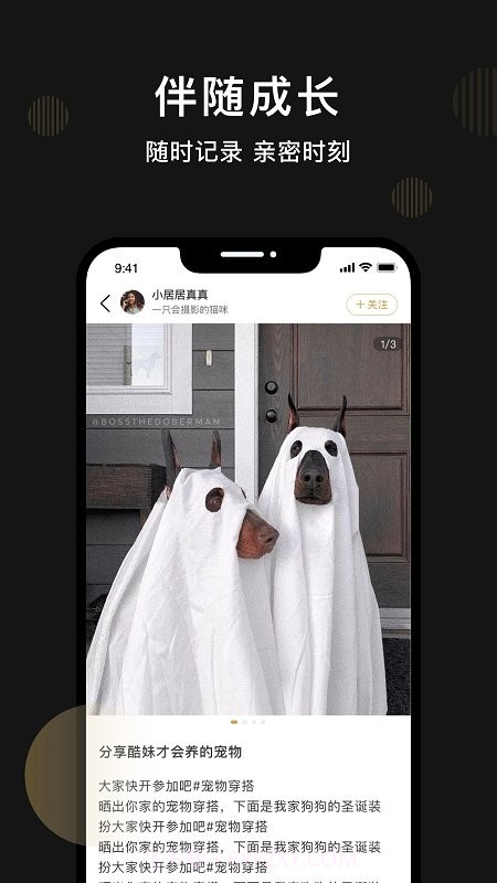 皮可宠物截图1 皮可宠物截图1