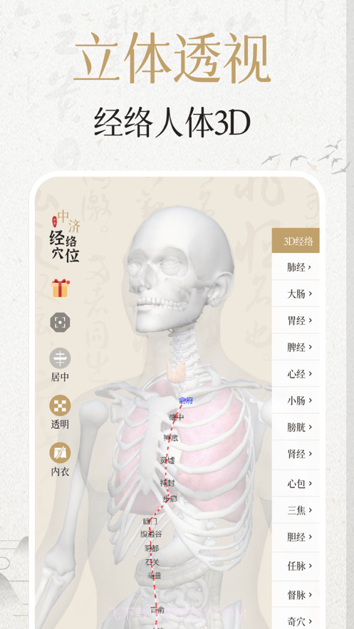 中济经络穴位截图5