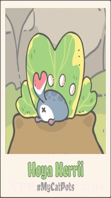 我的猫盆栽截图3