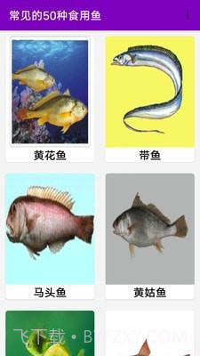 同聚元鱼类烹饪指南截图1