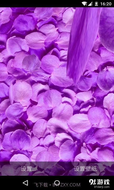 3D落花海:梦象动态壁纸截图2 3D落花海:梦象动态壁纸截图2