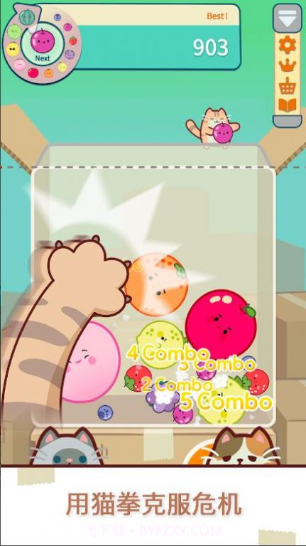猫和西瓜截图2 猫和西瓜截图2