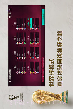 FIFA2003中文版截图3