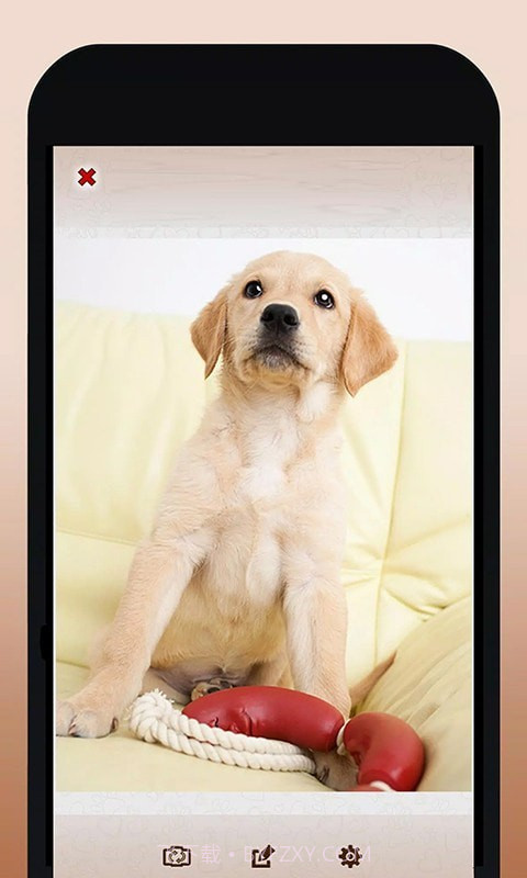 修狗翻译模拟器截图5