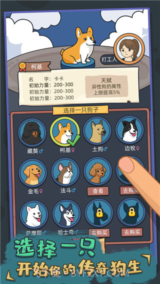 狗生模拟器免广告版截图2