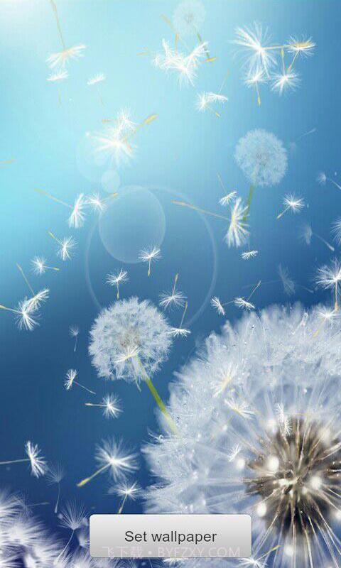恋上蒲公英梦象动态壁纸安卓V1.2.11 中文版截图3 恋上蒲公英梦象动态壁纸安卓V1.2.11 中文版截图3