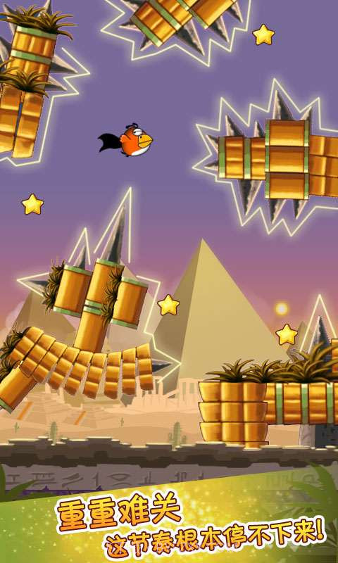 呆鸟历险记截图2
