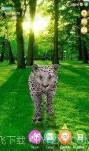 会说话的猎豹截图2 会说话的猎豹截图2