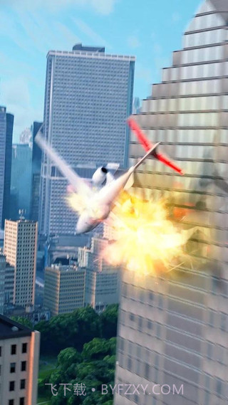 飞机紧急降落截图2 飞机紧急降落截图2