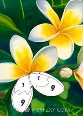 按编号花色截图1 按编号花色截图1