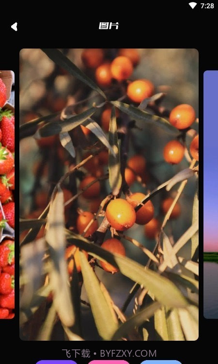 91主题壁纸截图3 91主题壁纸截图3