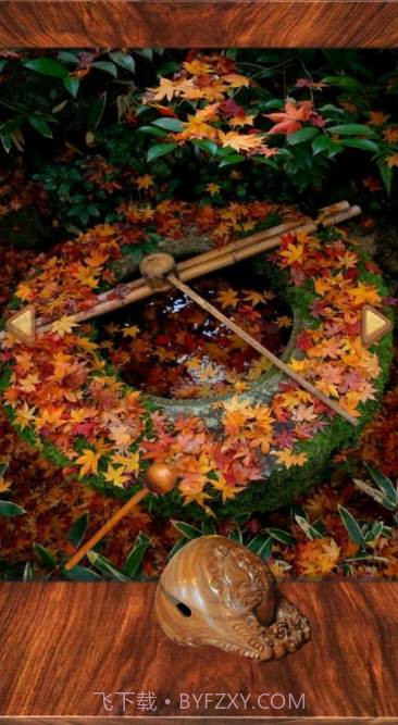 wooden fish截图3 wooden fish截图3