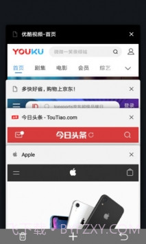 宙斯浏览器app安卓截图4