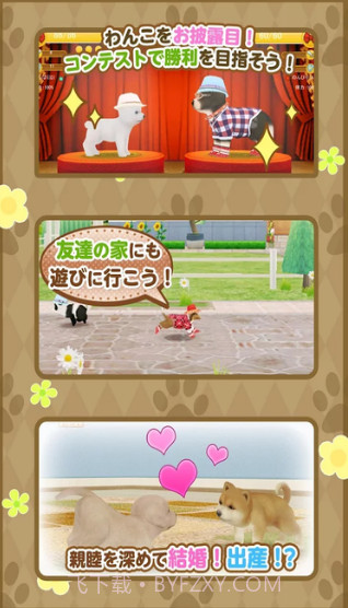 掌心小狗截图1 掌心小狗截图1