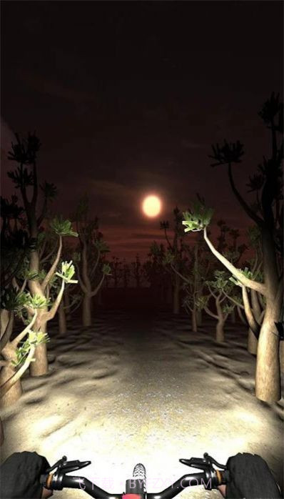 夜骑模拟器截图4 夜骑模拟器截图4